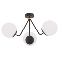 Argon 1478 - Surface-mounted chandelier TOMAR 3xE27/15W/230V black