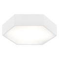 Argon 3827 - LED Ceiling light ARIZONA LED/22,5W/230V white