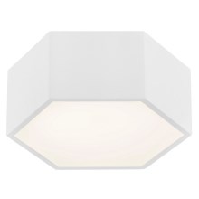 Argon 3828 - LED Ceiling light ARIZONA LED/9W/230V white