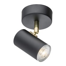 Argon 4210 - Ceiling spotlight LAGOS 1xGU10/5W/230V black/brass