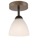 Attached chandelier ADRIANO 1xE27/60W/230V