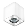 Azzardo AZ0735 - Ceiling light NINO 1xGU10/50W/230V
