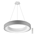 Azzardo AZ2729 - LED Dimming chandelier on a string SOVANA 1xLED/50W/230V + remote control