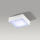 Azzardo AZ2781 - LED Ceiling light FALCO LED/12W/230V