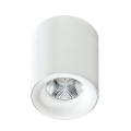 Azzardo AZ2845 - LED Ceiling light MANE 1xLED/10W/230V