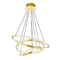 Azzardo AZ2918 - LED Dimming chandelier on a string  WHEEL 3xLED/80W/230V