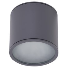 Azzardo AZ4057 - Ceiling spotlight ALIX 1xGU10/50W/230V grey