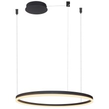 Azzardo AZ4960 -LED Dimmable chandelier on a string HALO LED/54W/230V d. 80 cm black