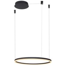 Azzardo AZ4968 -LED Dimmable chandelier on a string HALO LED/47W/230V d. 60 cm black