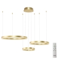 Azzardo AZ4973 - LED Dimmable chandelier on a string HALO LED/120W/230V gold + remote control