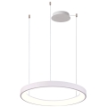 Azzardo AZ5015 - LED Dimmable chandelier on a string AGNES LED/38W/230V d. 48 cm white
