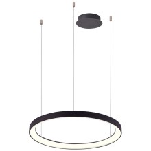 Azzardo AZ5016 -LED Dimmable chandelier on a string AGNES LED/38W/230V d. 48 cm black