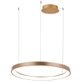 Azzardo AZ5017 - LED Dimmable chandelier on a string AGNES LED/38W/230V d. 48 cm gold