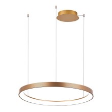 Azzardo AZ5020 - LED Dimmable chandelier on a string AGNES LED/48W/230V d. 58 cm gold
