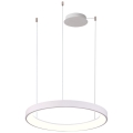Azzardo AZ5021 - LED Dimmable chandelier on a string AGNES LED/60W/230V d. 78 cm white