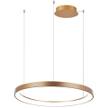 Azzardo AZ5023 - LED Dimmable chandelier on a string AGNES LED/60W/230V d. 78 cm gold