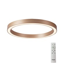Azzardo AZ5033 - LED Dimmable ceiling light MARCO LED/50W/230V gold + remote control