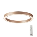 Azzardo AZ5036 - LED Dimmable ceiling light MARCO LED/60W/230V gold + remote control