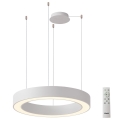 Azzardo AZ5043 - LED Dimmable chandelier on a string MARCO LED/50W/230V white + remote control