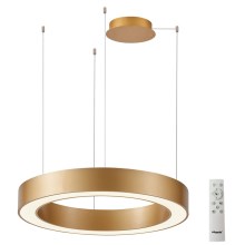 Azzardo AZ5045 - LED Dimmable chandelier on a string MARCO LED/50W/230V gold + remote control