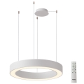 Azzardo AZ5046 - LED Dimmable chandelier on a string MARCO LED/60W/230V white + remote control