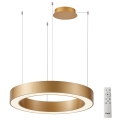 Azzardo AZ5048 - LED Dimmable chandelier on a string MARCO LED/60W/230V gold + remote control