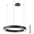 Azzardo AZ5053 - LED Dimmable chandelier on a string MARCO LED/100W/230V black + remote control