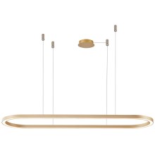Azzardo AZ5058 - LED Dimmable chandelier on a string ELENA LED/60W/230V 150 cm gold