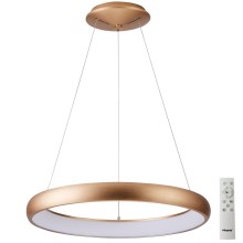Azzardo AZ5061 - LED Dimmable chandelier on a string ANTONIO LED/32W/230V gold + remote control