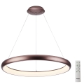 Azzardo AZ5062 - LED Dimmable chandelier on a string ANTONIO LED/50W/230V brown + remote control