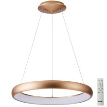 Azzardo AZ5064 - LED Dimmable chandelier on a string ANTONIO LED/50W/230V gold + remote control