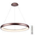 Azzardo AZ5065 - LED Dimmable chandelier on a string ANTONIO LED/80W/230V brown + remote control