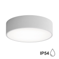 Bathroom ceiling light CLEO 2xE27/24W/230V d. 30 cm grey IP54