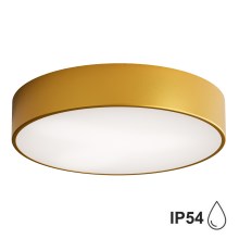 Bathroom ceiling light CLEO 3xE27/24W/230V d. 40 cm gold IP54