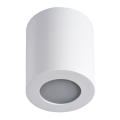 Bathroom ceiling light SANI 1xGU10/10W/230V IP44 white
