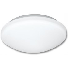 Bathroom ceiling light VICTOR 1xE27/60W/230V IP44