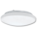 Bathroom ceiling light VICTOR 2xE27/60W/230V IP44