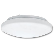 Bathroom ceiling light VICTOR 2xE27/60W/230V IP44