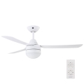 BAYSIDE 531016 – Ceiling Fan MEGARA 2×E14/15W/230V White + RC