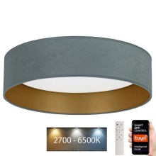 Brilagi - LED Dimmable ceiling light VELVET SMART LED/24W/230V d. 45 cm 2700-6500K Wi-Fi Tuya mint/gold + remote control