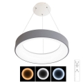 Brilagi - LED Dimmable chandelier on a string FALCON LED/80W/230V 3000-6500K d. 60 cm grey + remote control