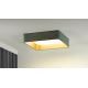 Brilagi - LED Dimmable ceiling light VELVET SQUARE LED/24W/230V 3000/4000/6500K + remote control mint