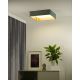 Brilagi - LED Dimmable ceiling light VELVET SQUARE SMART LED/36W/230V 2700-6500K Wi-Fi Tuya + remote control mint