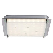 Brilliant - LED Ceiling light SALVIA LED/12W/230V
