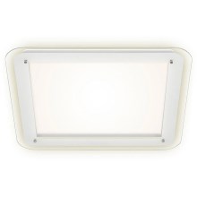 Briloner 3397-016 - LED Ceiling light FREE LED/22W/230V