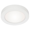 Briloner 7108-416 - LED Ceiling light SKY 2V1 LED/18W/230V white