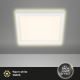 Briloner 7362-016 - LED Ceiling light CADRE LED/18W/230V 29,6x29,6 cm white