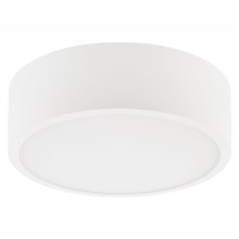 Ceiling light DANTE 1xE27/60W/230V d. 26 cm white