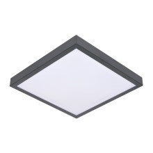 Ceiling light VITAL 2xE27/60W/230V anthracite
