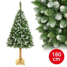 Christmas tree on a trunk 180 cm pine